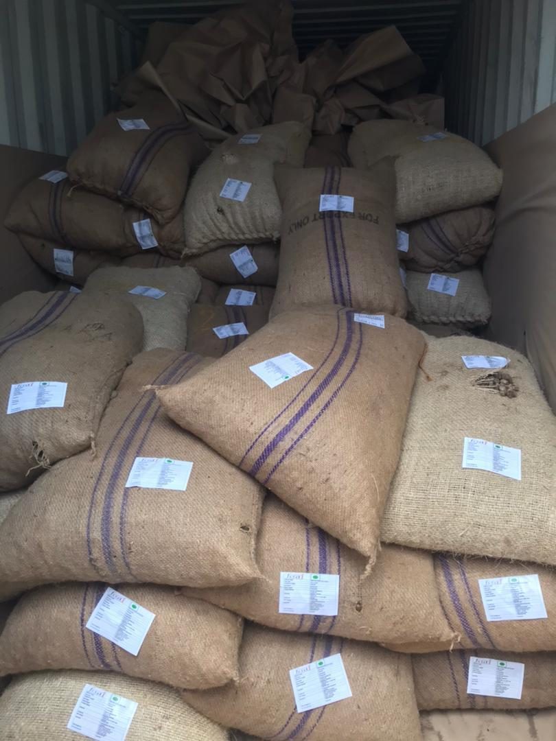 Labelled jute sacks stacked inside a shipping container, marked for export