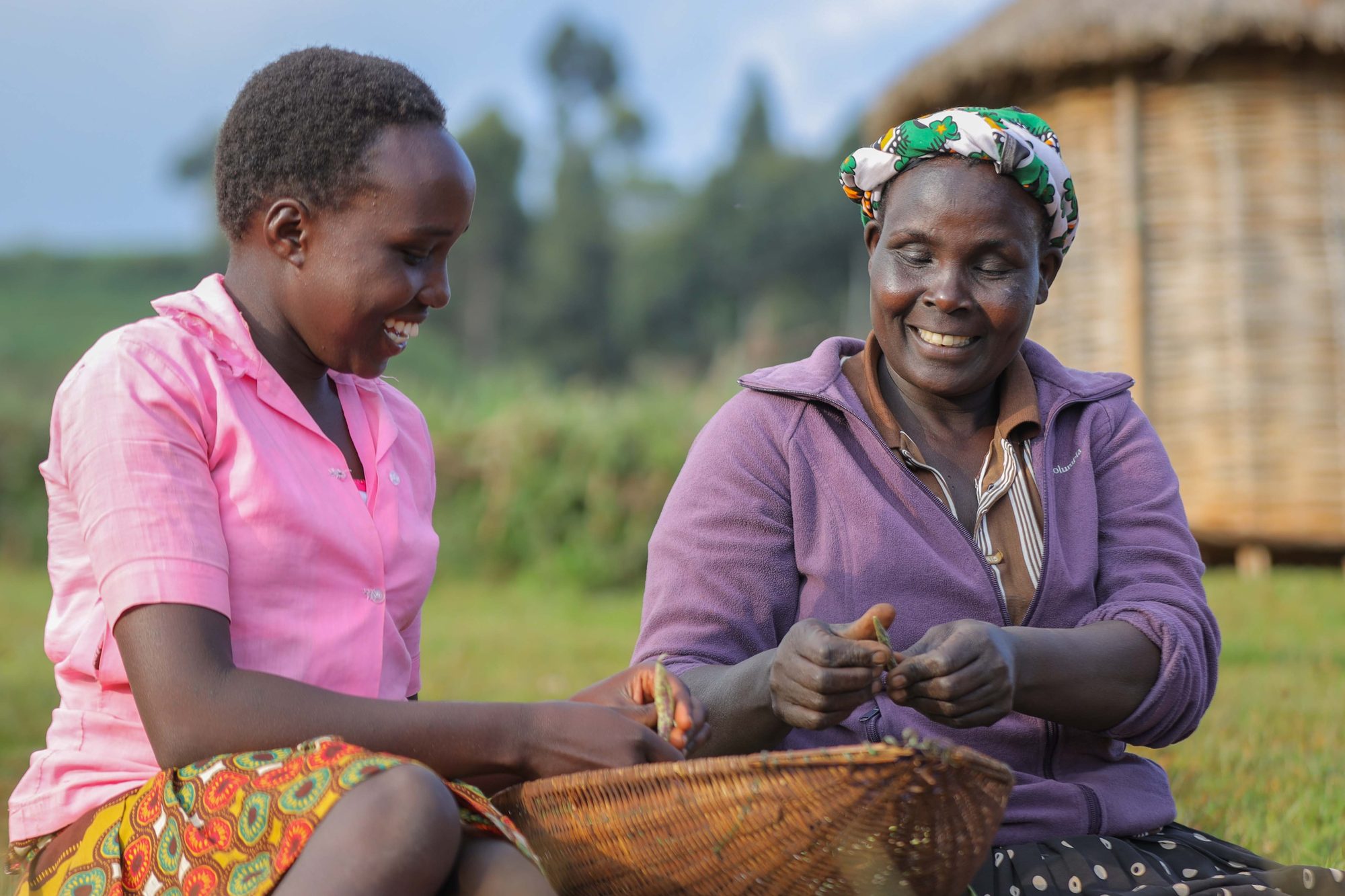 Two farmers sitting together, laughing, sorting crop into a woven basket