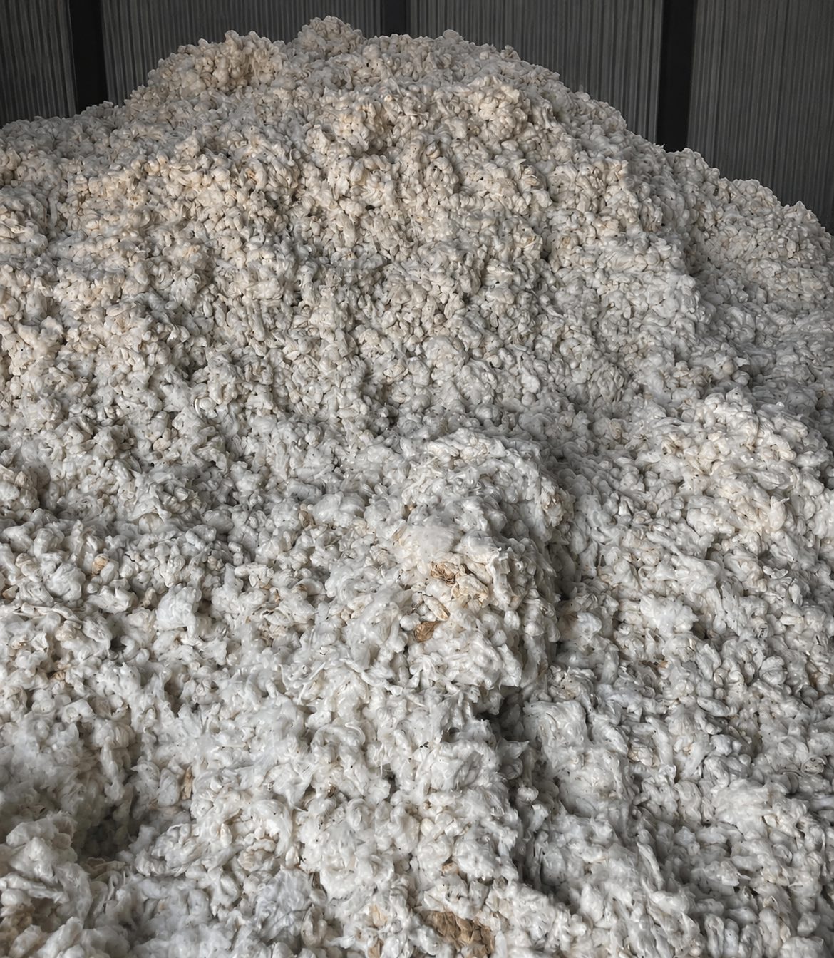 A heap of raw ginned cotton lint in a store