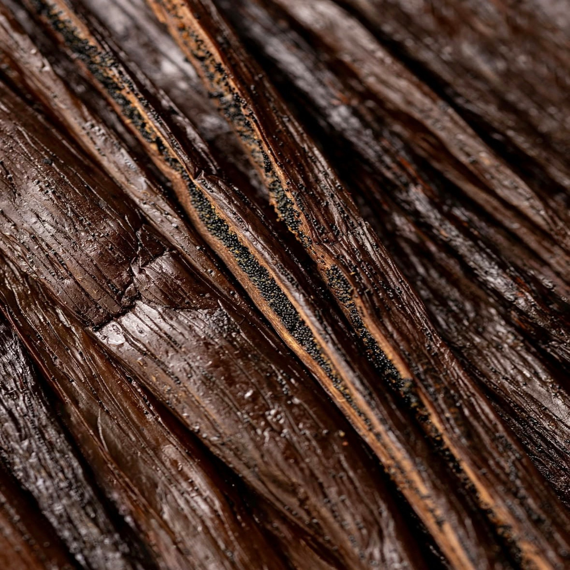 Macro of cured vanilla beans, one split open to show the seed inside